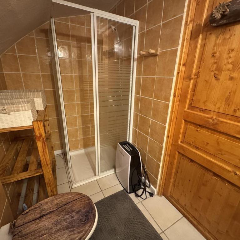 Appartement de charme dans chalet rénové - Animaux et parking - FR-1-836-54 - Appartement - 14