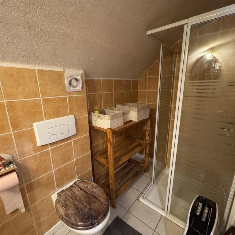 Appartement de charme dans chalet rénové - Animaux et parking - FR-1-836-54 - Appartement - 18