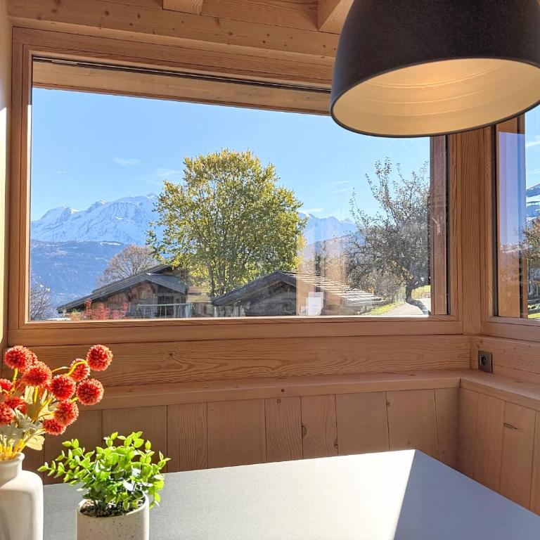 Duplex neuf avec terrasse face au Mont Blanc, 3 chambres et mezzanine, à 3 km du centre de Combloux - Appartement 3 Chambres - 13