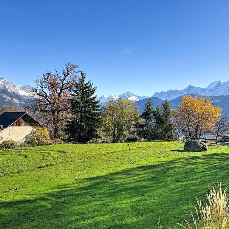 Duplex neuf avec terrasse face au Mont Blanc, 3 chambres et mezzanine, à 3 km du centre de Combloux - Appartement 3 Chambres - 16
