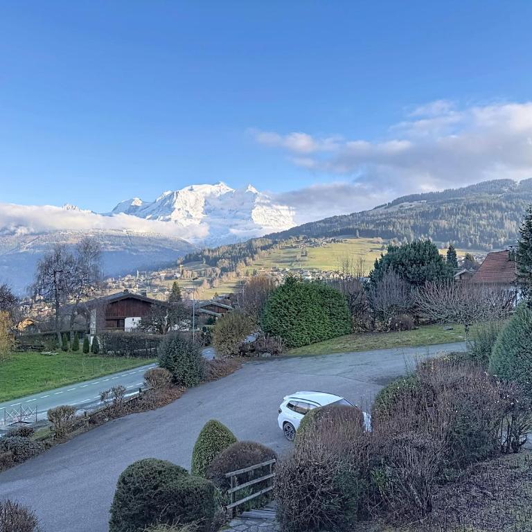 Appartement proche village, accès ski bus, vue Mont Blanc - Appartement 1 Chambre - 14