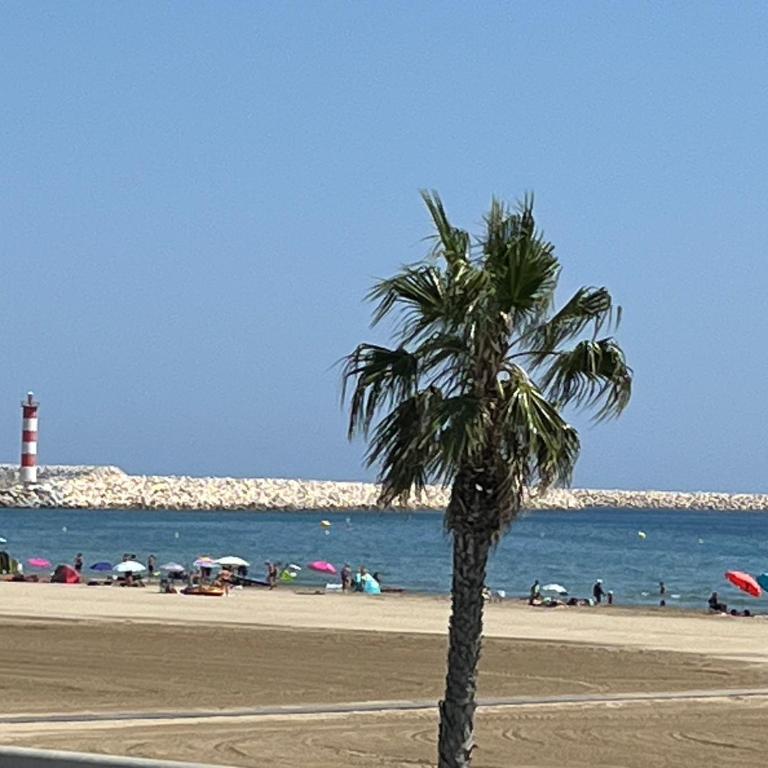T2 climatisé en front de mer avec parking - FR-1-797-13 - Appartement - 22