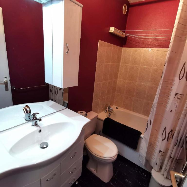 Studio confortable au cœur des Adrets-Prapoutel, animaux admis - Studio - 10
