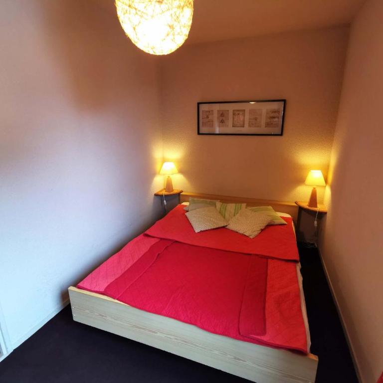 Location 2 pièces cabine, pied des pistes, balcon, 4-6 pers, proche ESF et commodités - Appartement 1 Chambre - 6