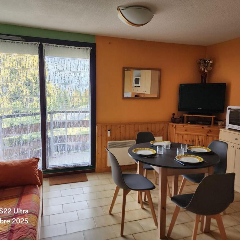 Studio confortable à 200m des pistes avec balcon et TV - Animaux interdits - Appartement 1 Chambre - 11