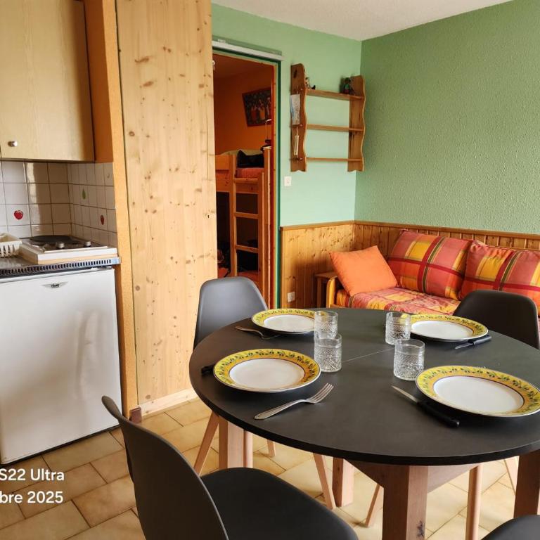 Studio confortable à 200m des pistes avec balcon et TV - Animaux interdits - Appartement 1 Chambre - 12