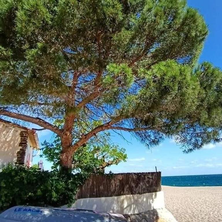 Studio rénové à 500m plages avec climatisation et parking - FR-1-776-104 - Studio - 12