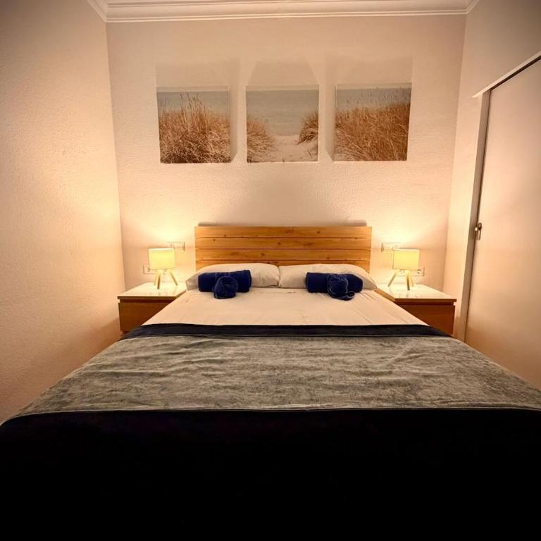 Kingfisher Apartments Benal Beach - One-Bedroom Premium Apartment with Ocean View - 12