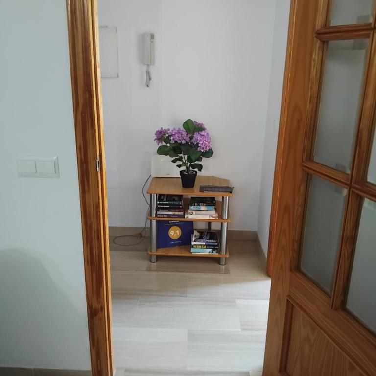 Calle Cártama - Apartamento - 11