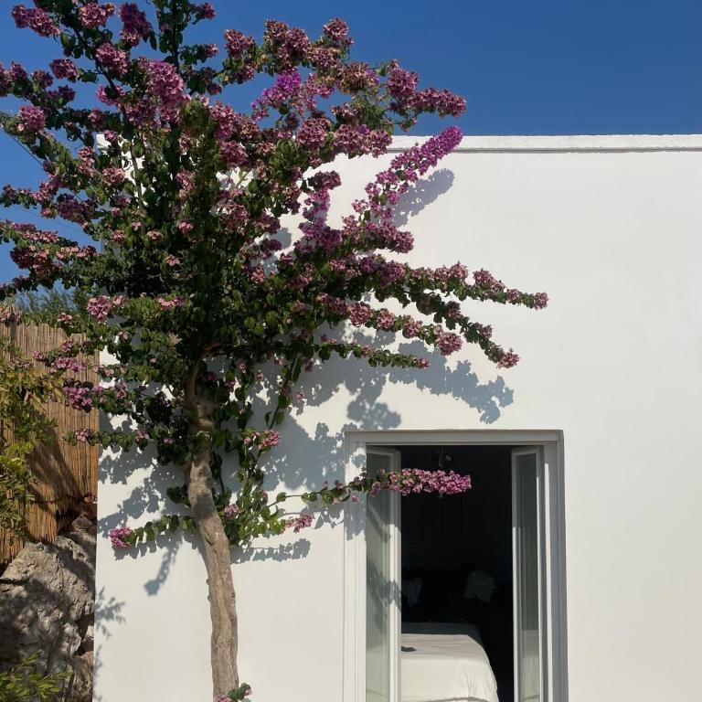 Villa Apollonia - Casa Vacanze con 3 Camere da Letto - 57