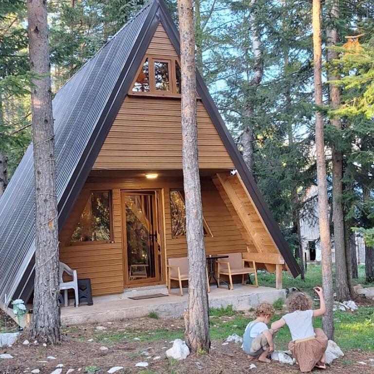 Vila Djordje Žabljak - Two-Bedroom House - 1