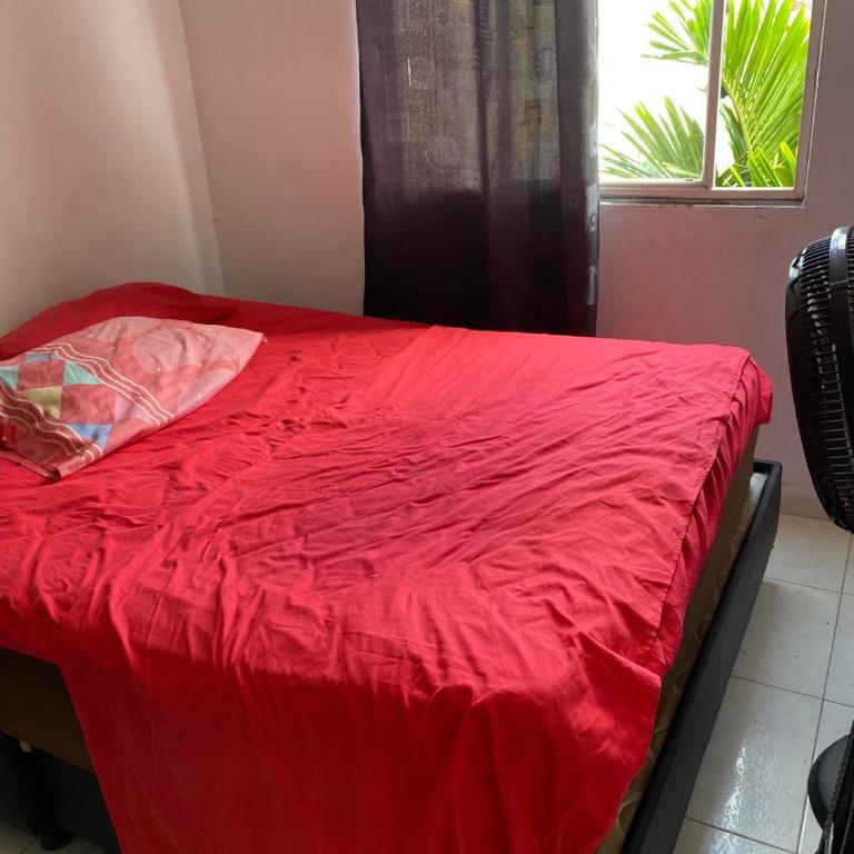 White House - Apartamento de 3 dormitorios - 7