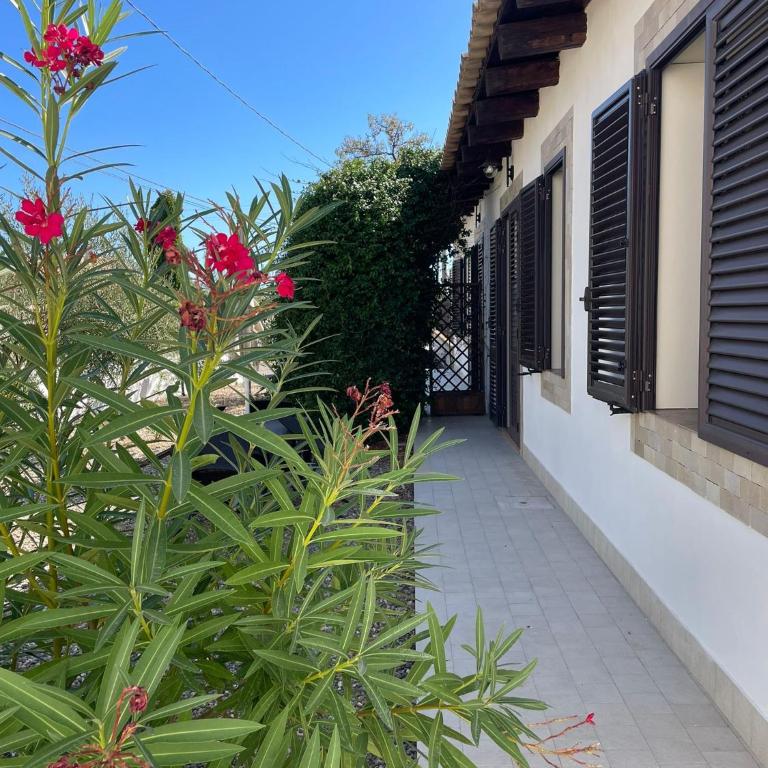 Le Case Al Quadrato Residence - Apartamento de 1 dormitorio - 13