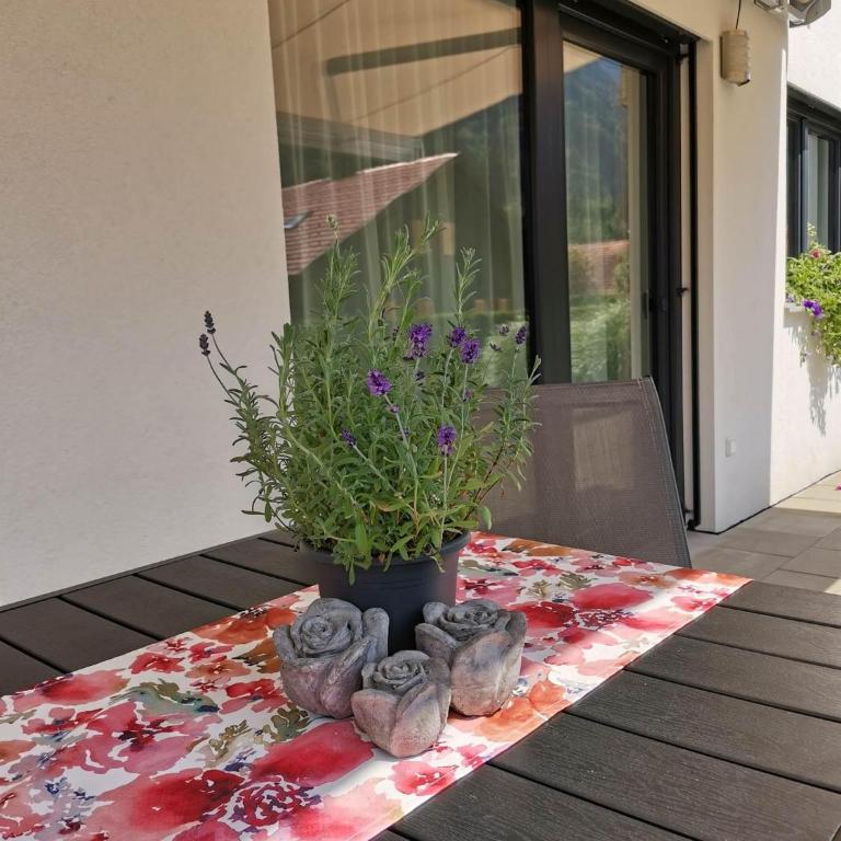 Haus Mathies - Appartamento con 2 Camere da Letto e con Doccia - 15