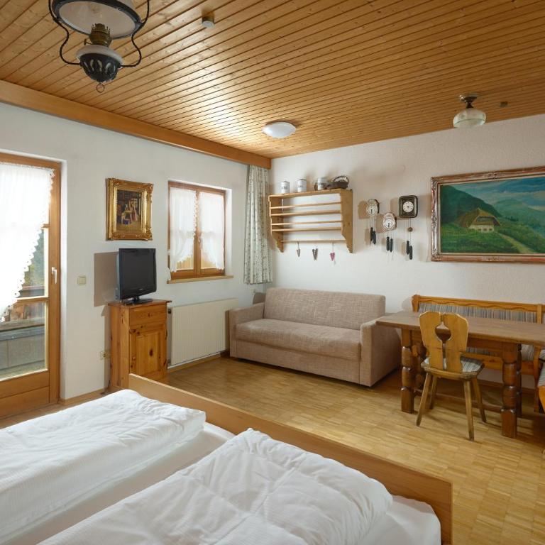 Alt Montafon Hotel Appartements - Studio - 3
