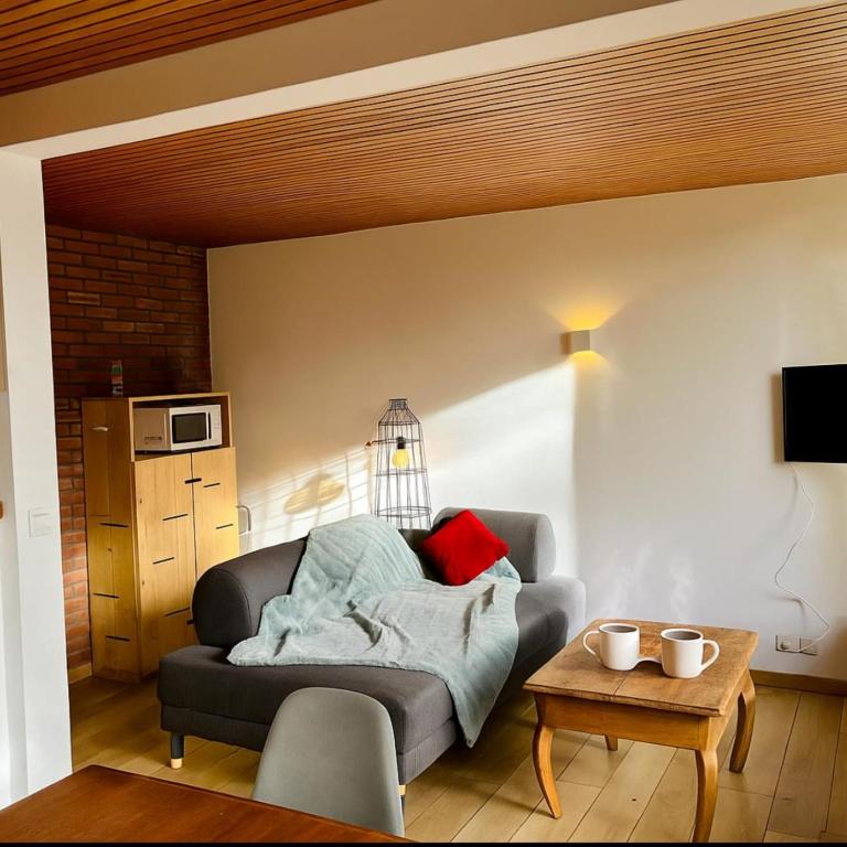 Bright apartment for 6 people in Chamonix - Apartment - 2