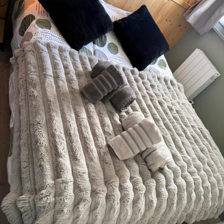 Logement cosy à la montagne - Apartment mit 2 Schlafzimmern - 11