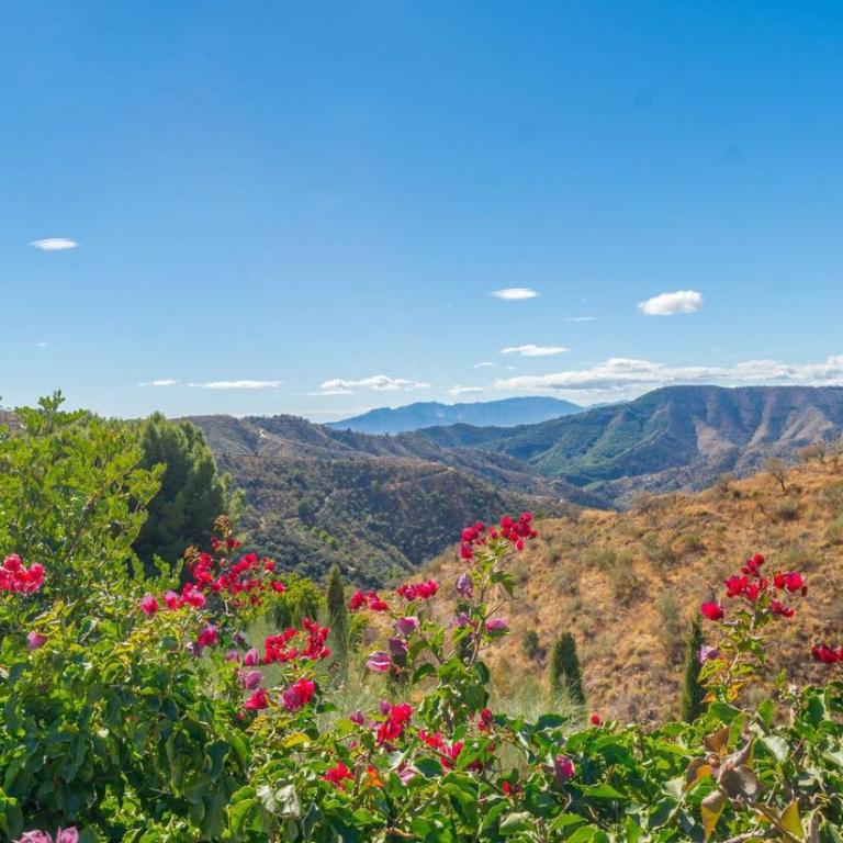 Cortijo Juan Salvador Málaga by Ruralidays - Casa de 8 dormitorios - 44