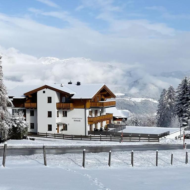 Appartement Schwab Ski in-Ski out by Schladmingurlaub - Apartment mit 2 Schlafzimmern und Terrasse - 8