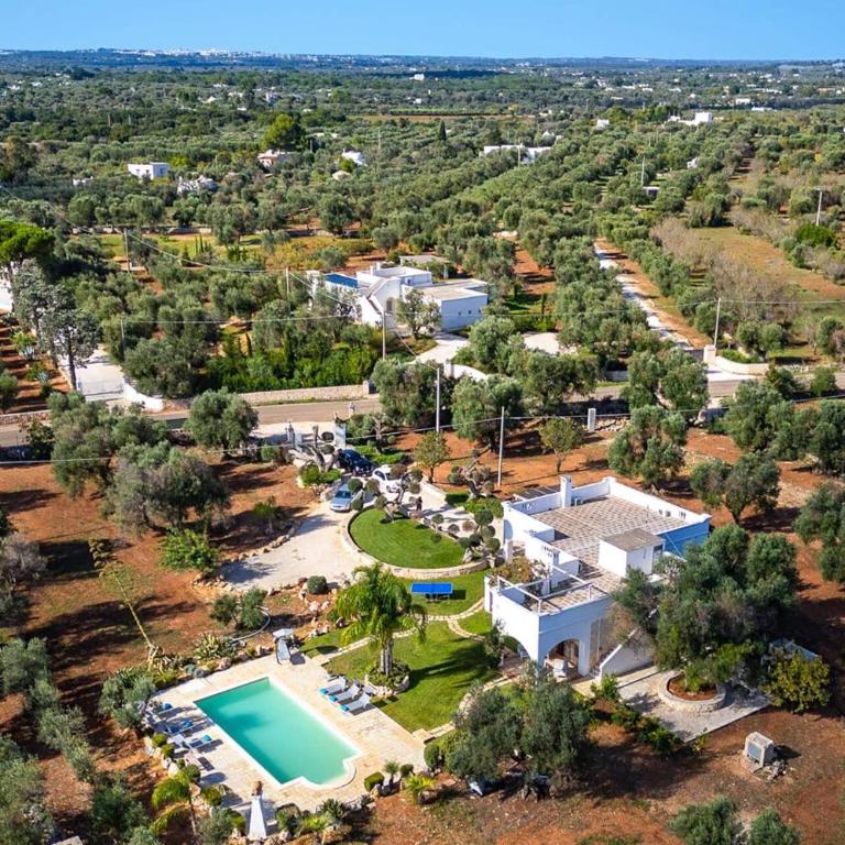 Villa Anfora by Villa Plus - Villa - 3