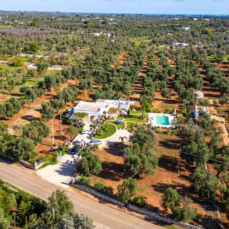 Villa Anfora by Villa Plus - Villa - 18
