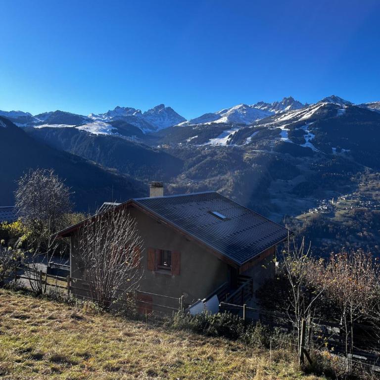 Chalet école des cimes - Chalet - 40