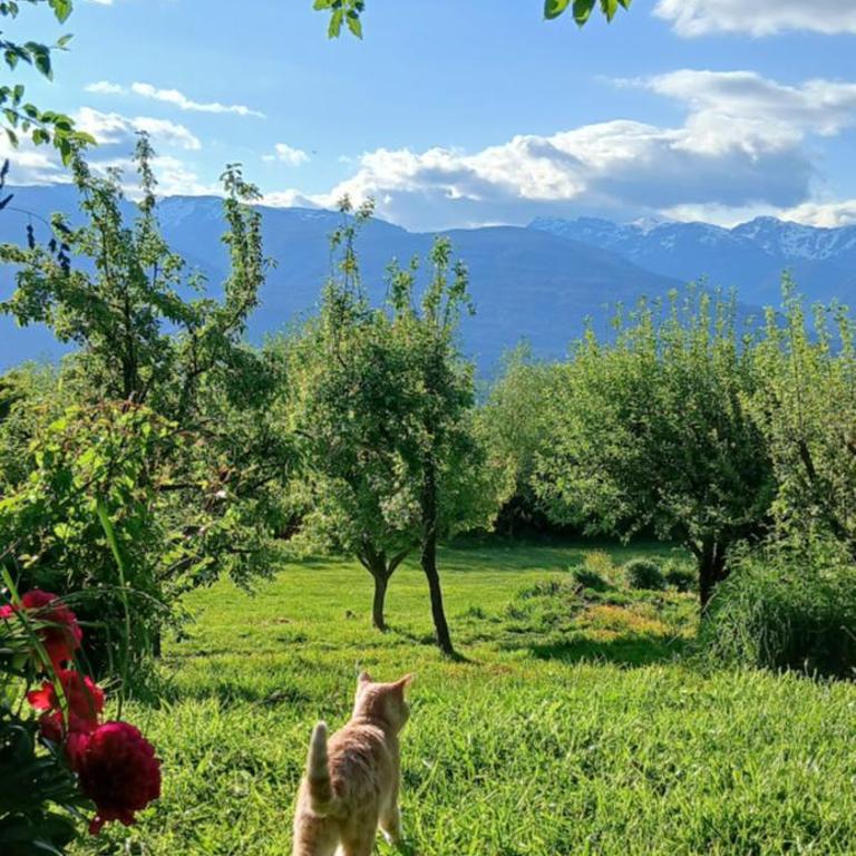 ChacraKremen - Habitación Compartida Mixta - 3