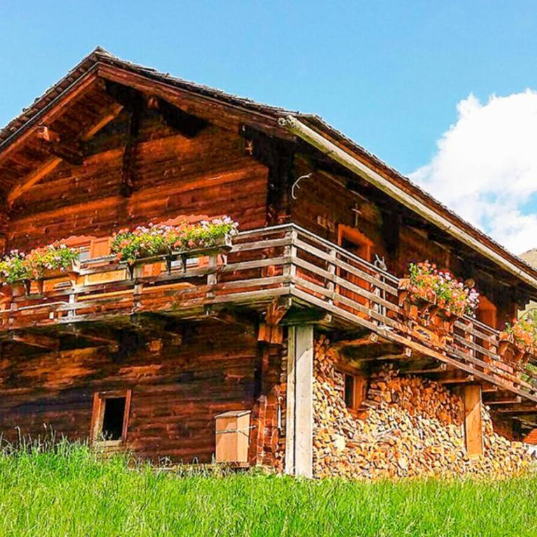 Almhütte Haritzer - Vacation Home - 8