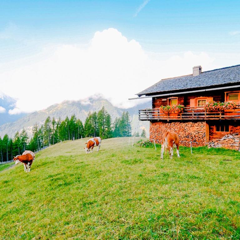 Almhütte Haritzer - Vacation Home - 9