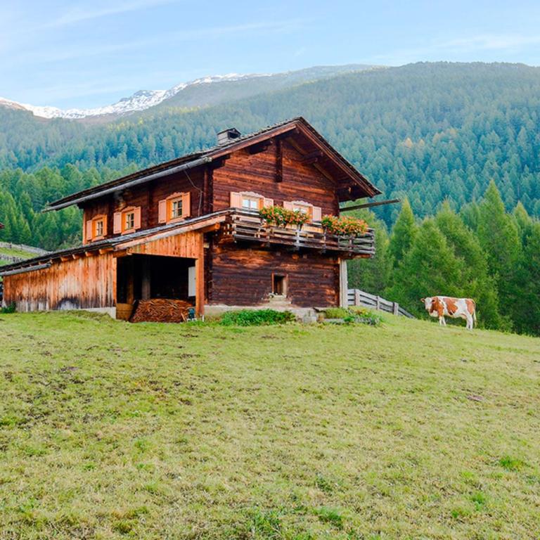 Almhütte Haritzer - Vacation Home - 10