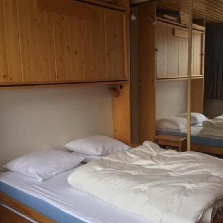 Ideal stay in the heart of the ski slopes - Appartement - 6