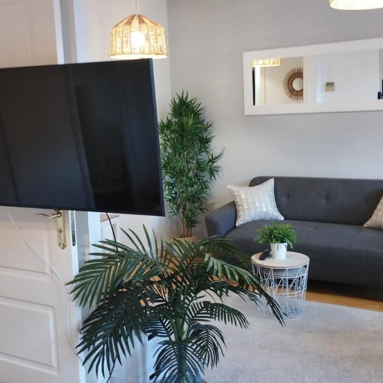 My Suites Madrid - Aeropuerto Ifema - Apartamento - 1