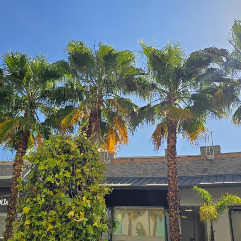 Apartamento en Las Condes frente a parque araucano - Apartamento de 2 dormitorios - 39