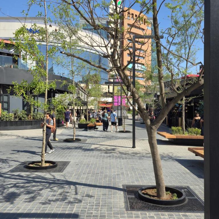 Departamento en Las Condes Premium Parque Arauco con Aire Acondicionado - Apartamento de 2 dormitorios - 49