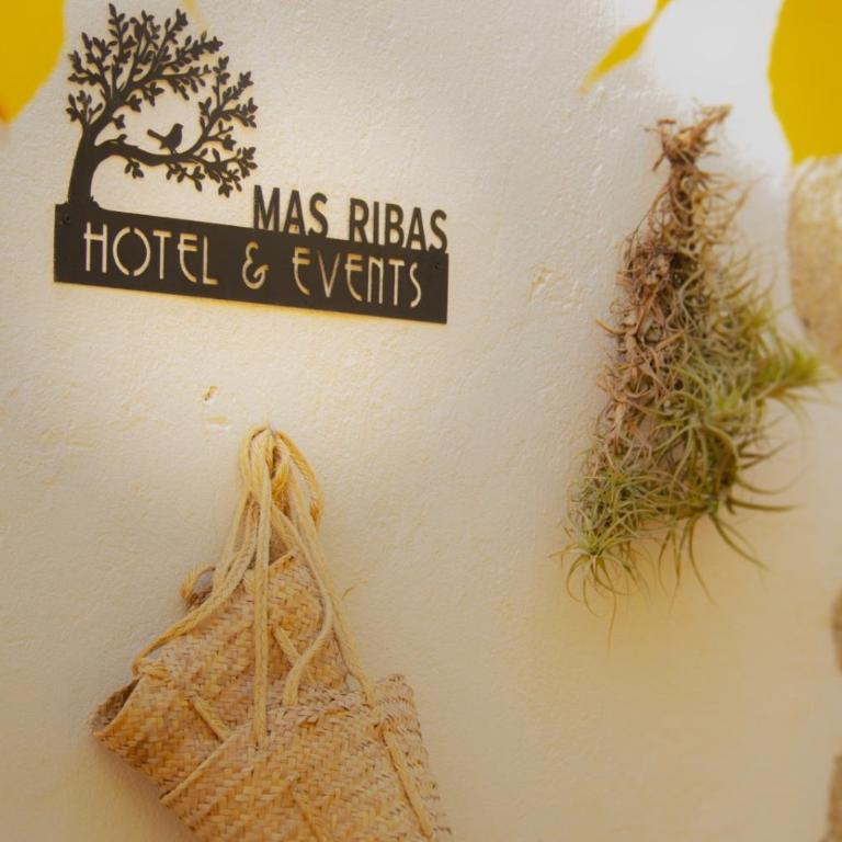 Mas Ribas Hotel i Esdeveniments - Twin Room - 16