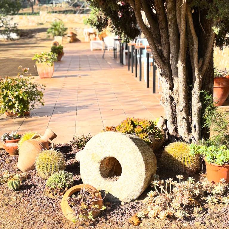 Mas Ribas Hotel i Esdeveniments - Twin Room - 17