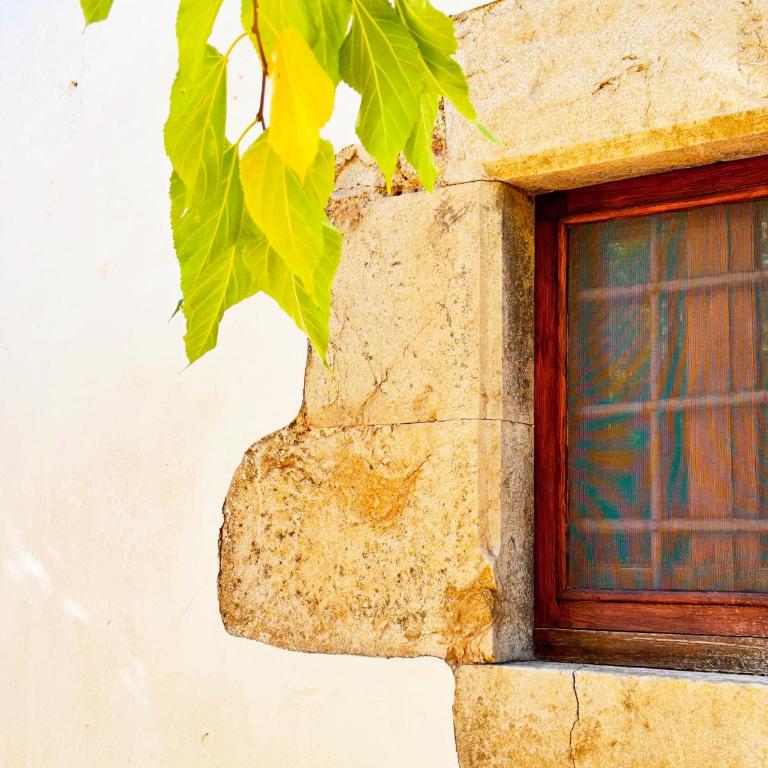 Mas Ribas Hotel i Esdeveniments - Deluxe One-Bedroom Apartment with Garden View - 15