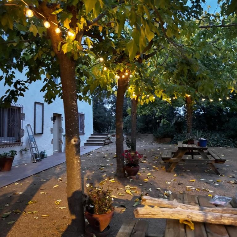 Mas Ribas Hotel i Esdeveniments - Double Room - Disability Access - 10