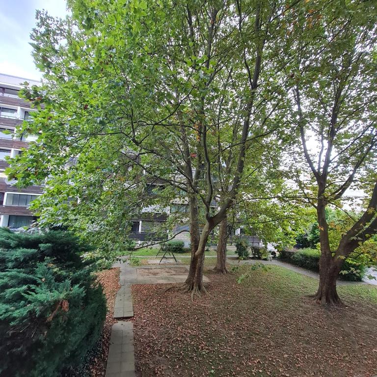 Einladend Graz - Apartamento de 1 dormitorio - 3