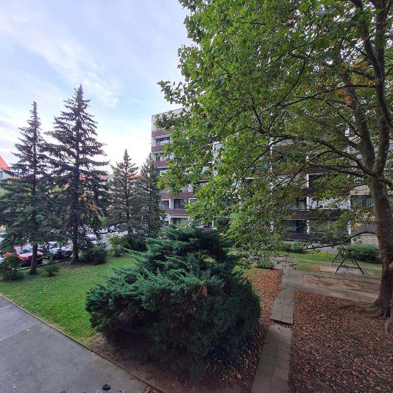 Einladend Graz - Apartamento de 1 dormitorio - 2