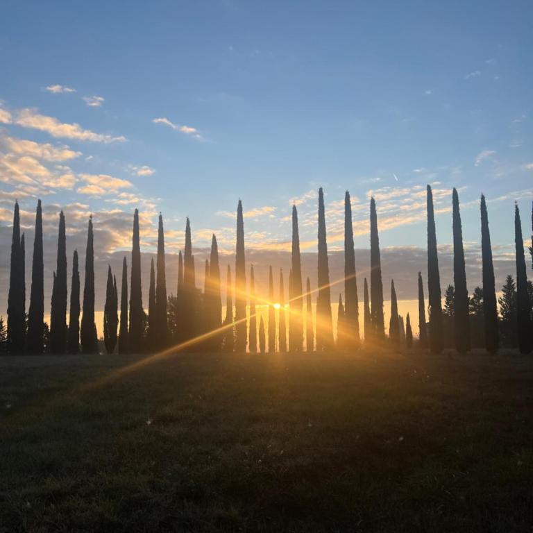 LA COLLINA DEI SAPORI Montepulciano - Appartamento con 3 Camere da Letto - 15