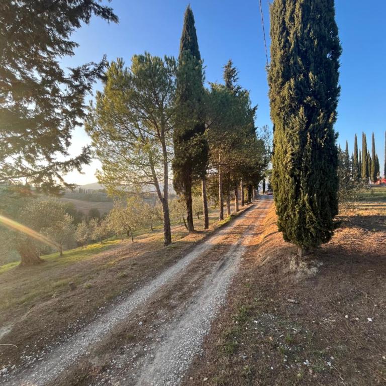 LA COLLINA DEI SAPORI Montepulciano - Appartamento con 3 Camere da Letto - 14