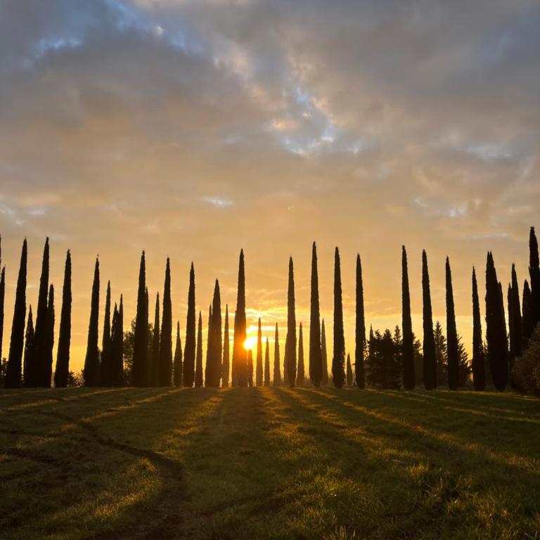LA COLLINA DEI SAPORI Montepulciano - Appartamento con 3 Camere da Letto - 11