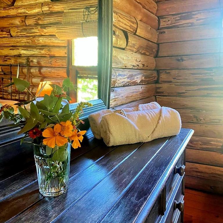 Cabaña Paihuen - One-Bedroom Chalet - 2