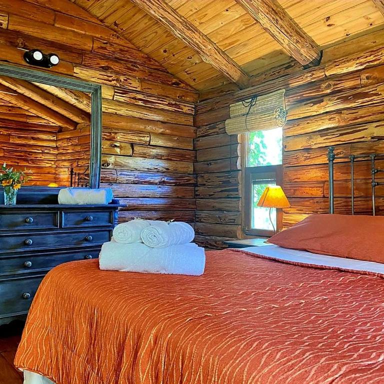 Cabaña Paihuen - One-Bedroom Chalet - 5