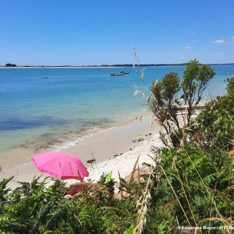 Carnac - Appartement 3 pièces - 6 pers - Wifi - FR-1-477-1 - Apartamento (6 adultos) - 16