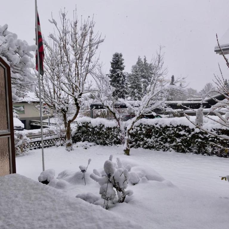 Chalet Rose - Einfamilienhaus - Maison 3 Chambres - 23