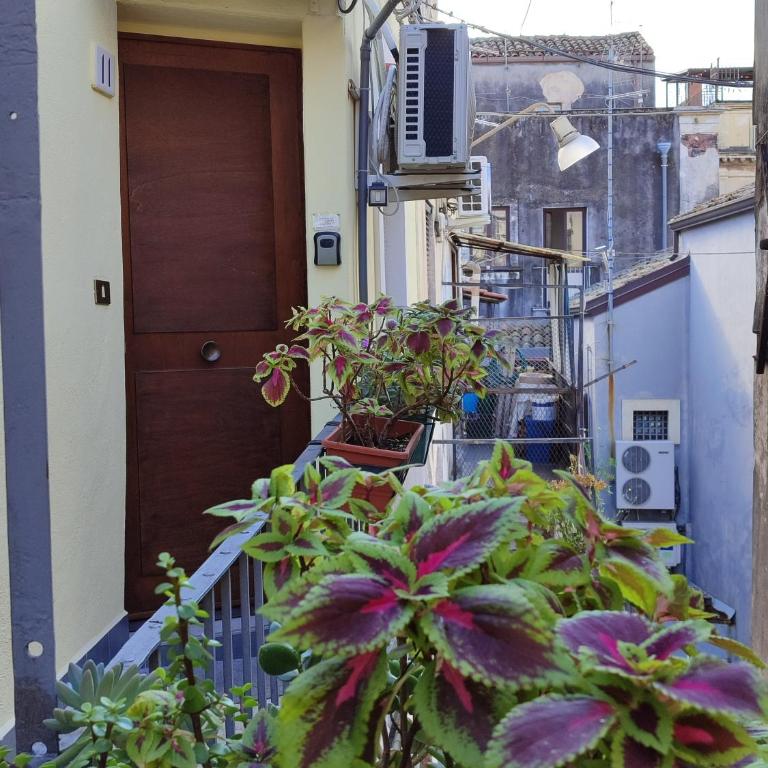 Cortile agatina11 - One-Bedroom Apartment - 5