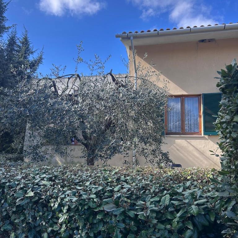 Casa la Quercia - One-Bedroom House - 13