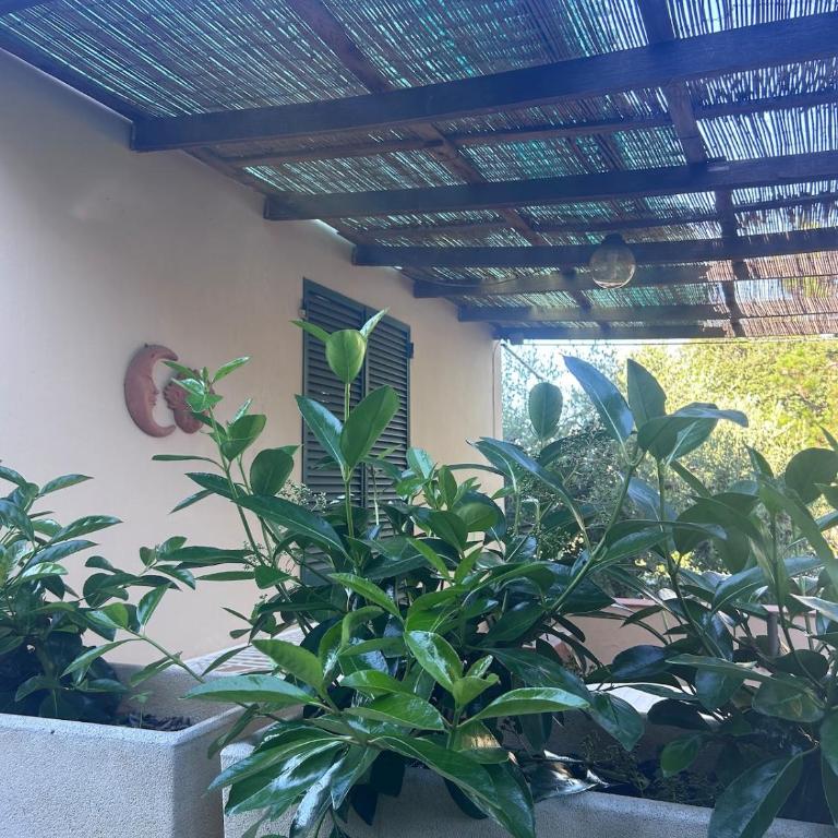 Casa la Quercia - One-Bedroom House - 12